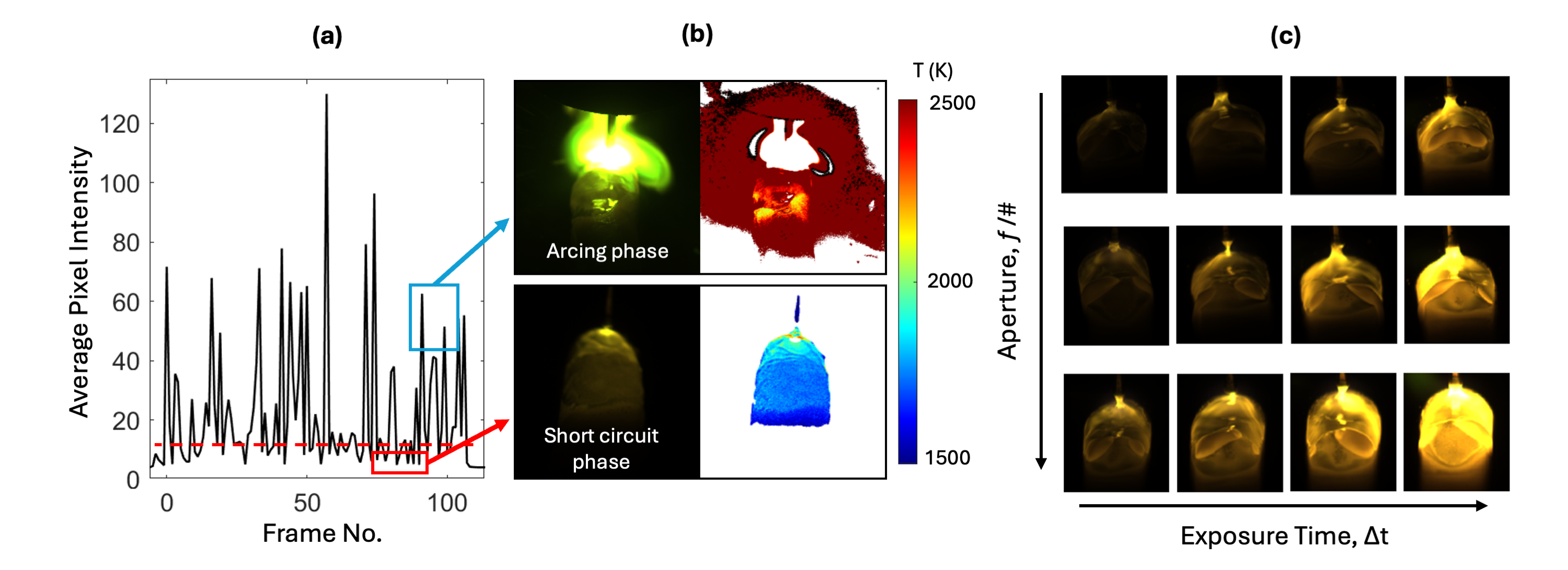 Camera calibration and thermography setup